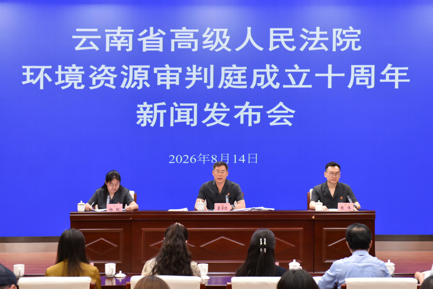 云新闻图解丨打开时间轴，回看云南环资审判这些年