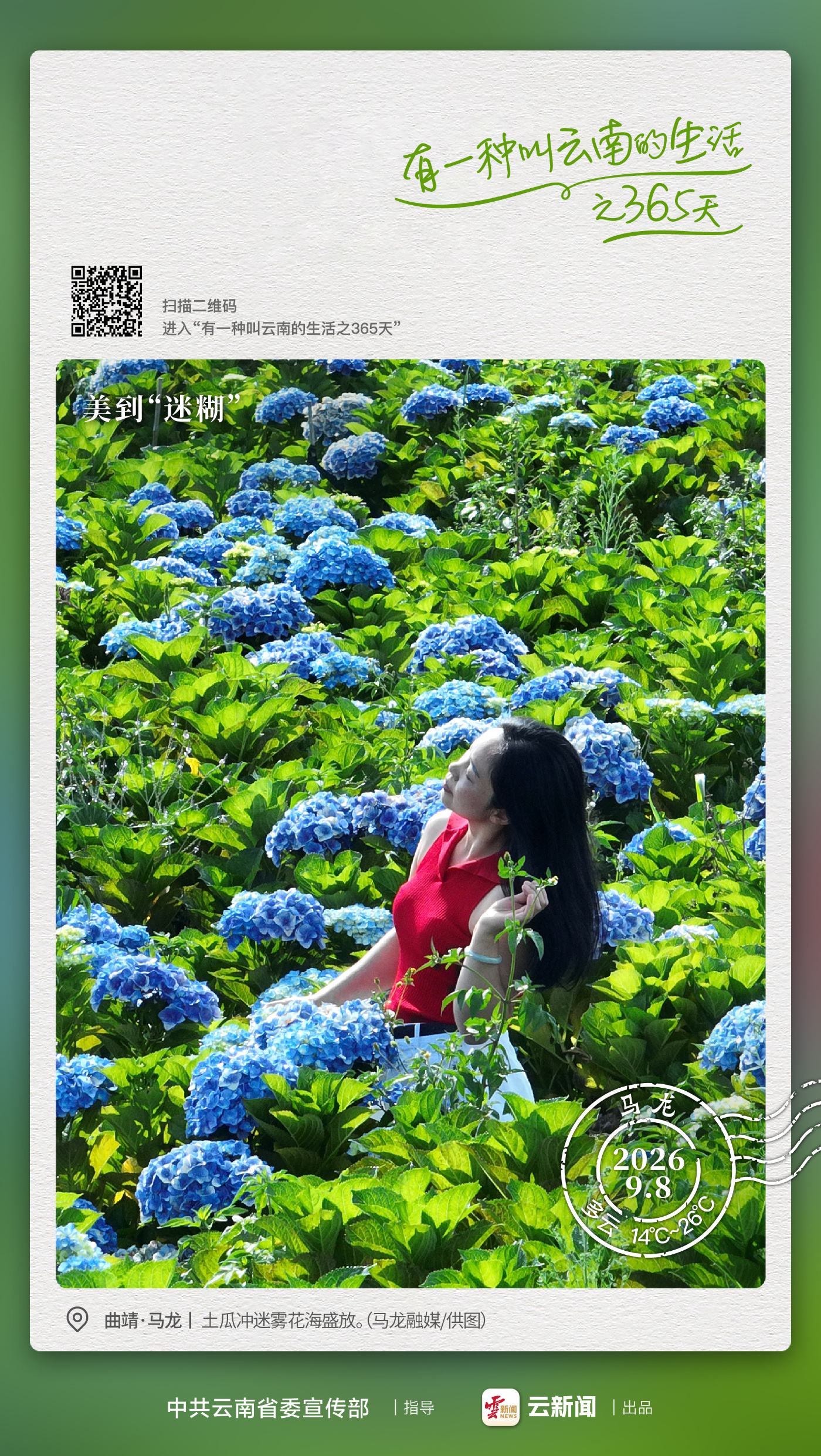 迷雾花海,美到“迷糊”——有一种叫云南的生活之365天
