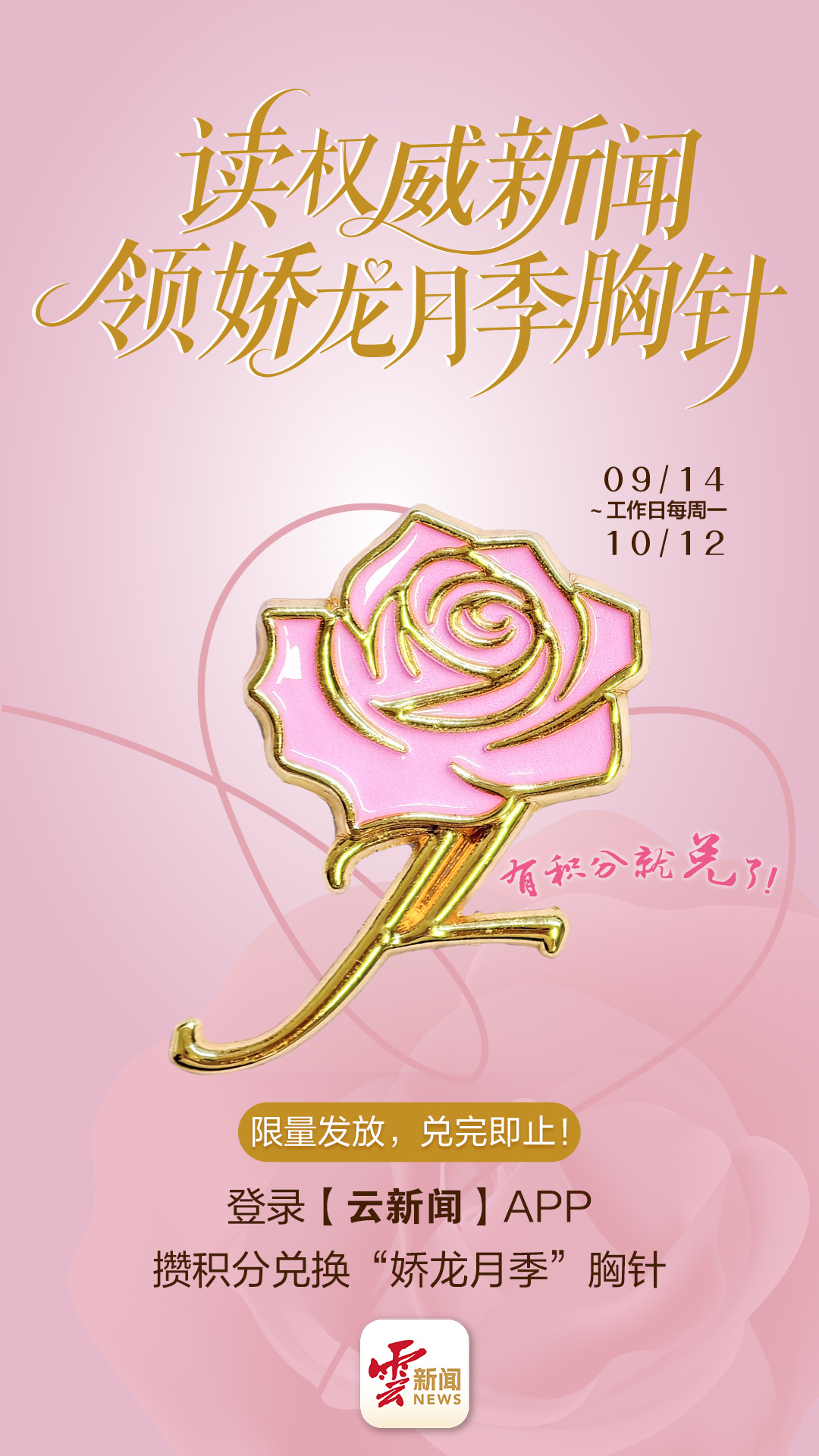 读权威新闻·领娇龙月季胸针丨限量200枚，攒分即兑，9月14日首批开抢！