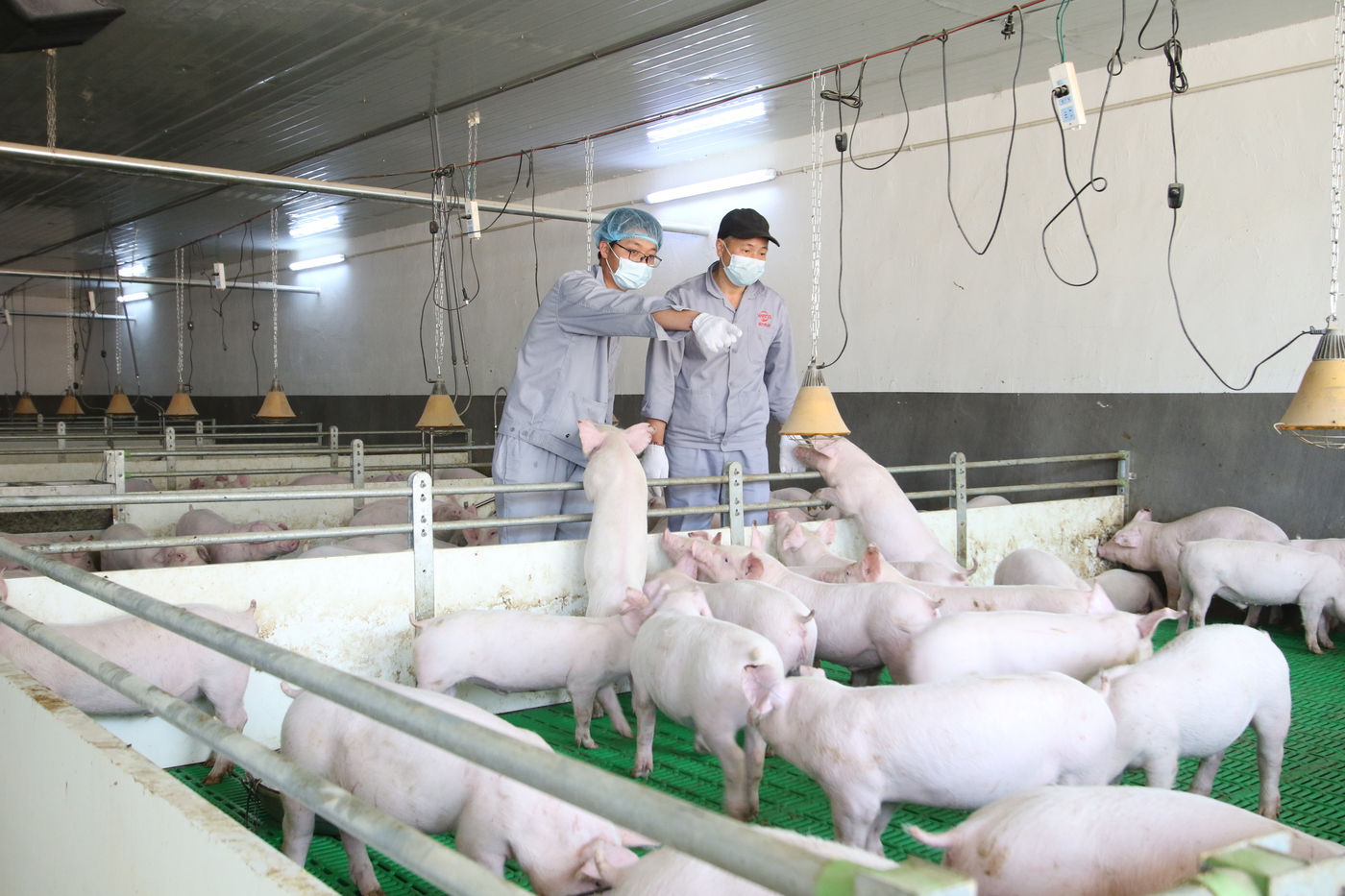 中华工商时报全国工商联副主席、温氏股份董事长温志芬：从科技兴农到富民共生将创新基因融入企业血脉易游娱乐城- YY易游体育官方网站- 易游体育APP