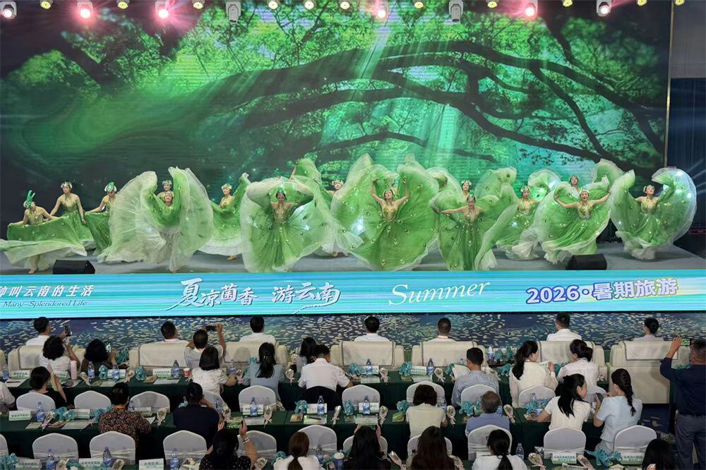 天气那么好 菌子那么香 九州市推荐官邀你来云南