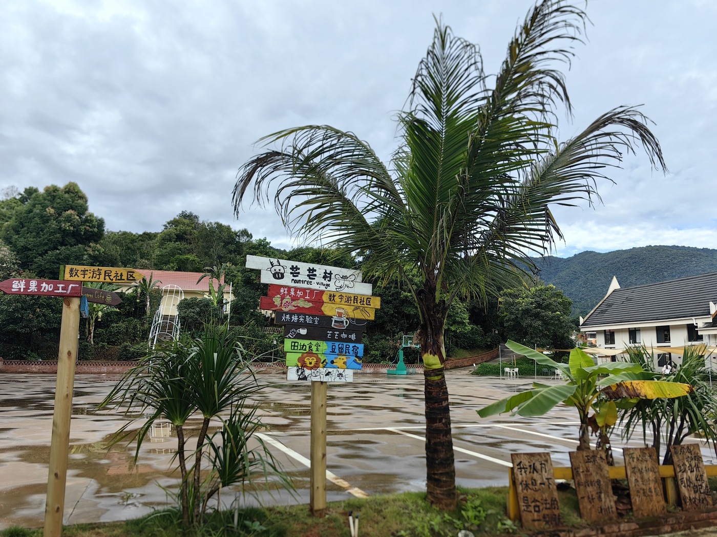 芒芒村：咖啡庄园留住数字游民