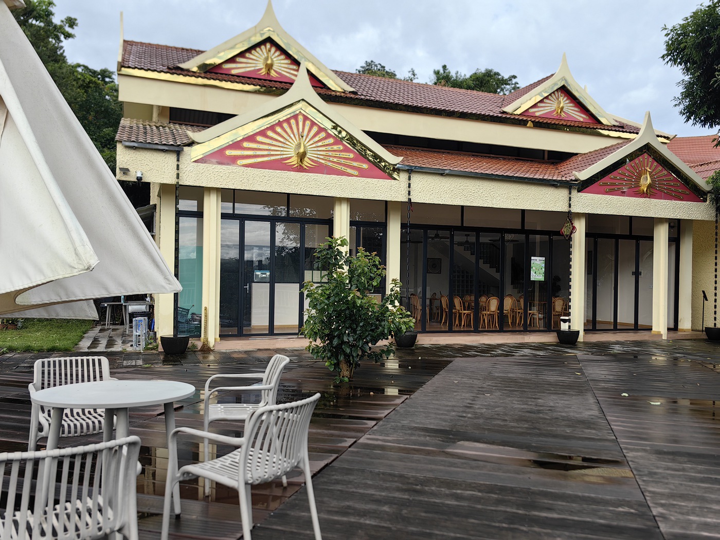 芒芒村：咖啡庄园留住数字游民