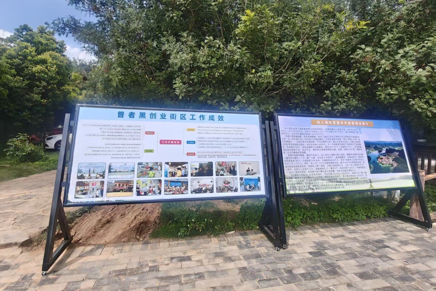 、旅居云南创业者杨晓丽:追逐普者黑的另一道风景