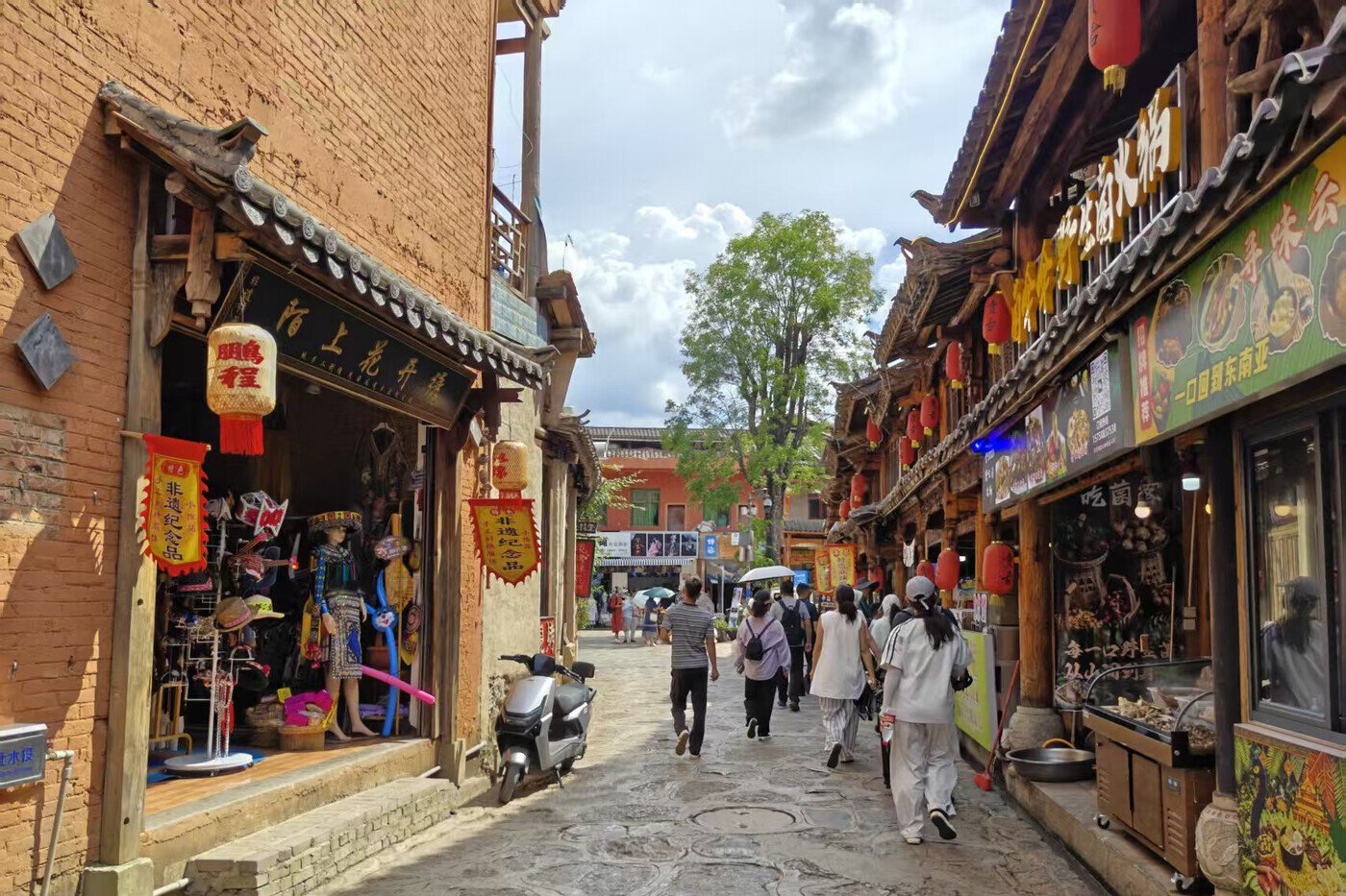、旅居云南创业者杨晓丽:追逐普者黑的另一道风景