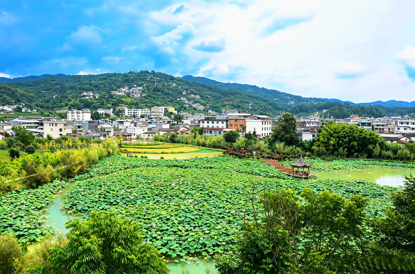 涌宝镇涌泉公园秋日迎客高峰 480万元打造康养休闲新样本