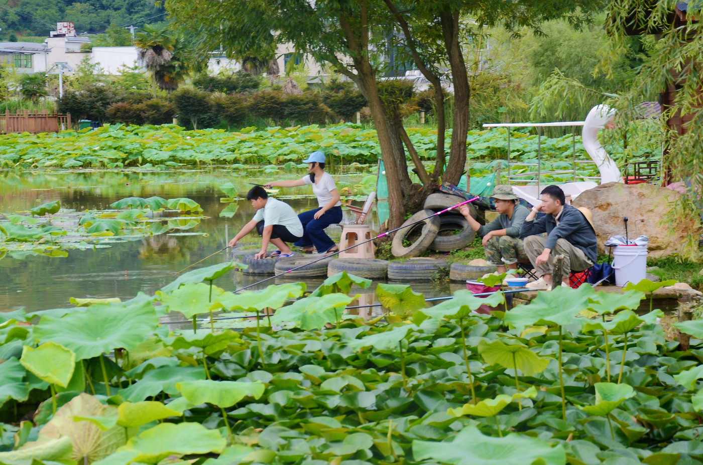 云县这个生态公园藏不住了！秋日氛围感直接拉满