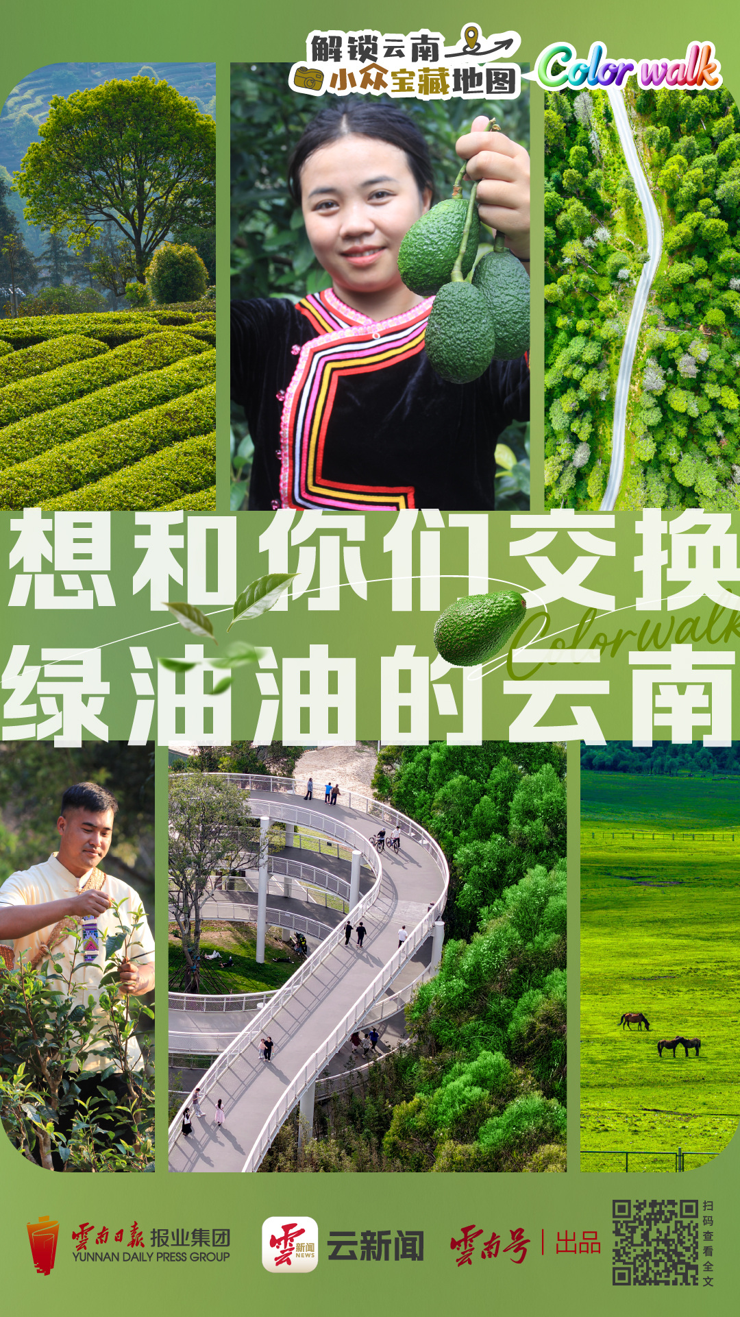 从车窗到林间，闯入现实版绿野仙踪丨解锁云南小众宝藏地图·ColorWalk篇