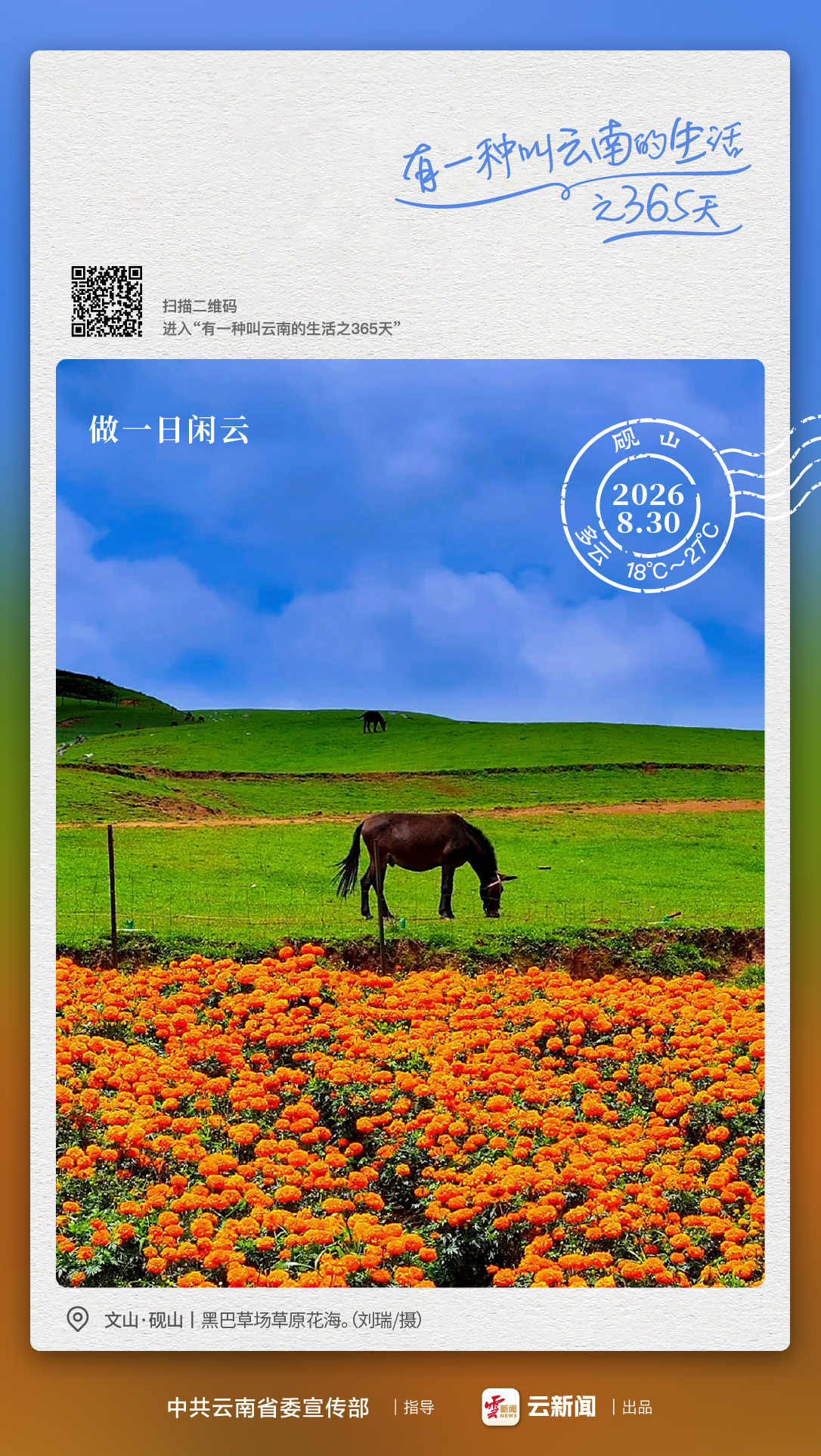 小众草场走红背后：砚山黑巴草场何以成为云南旅居新样本