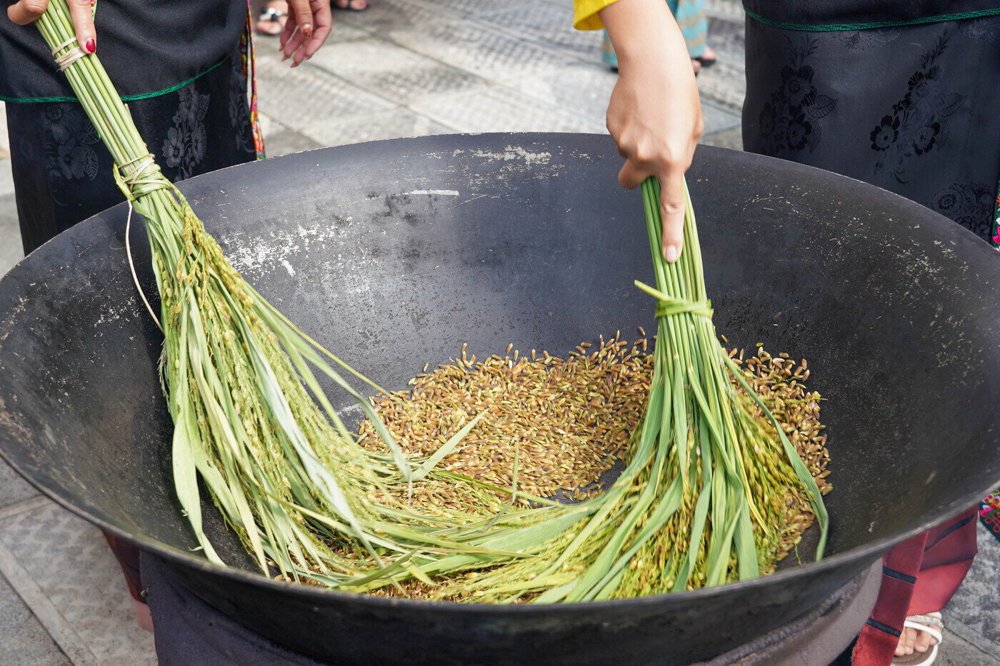 “豪茅”节是个什么节？——有一种叫云南的生活之365天